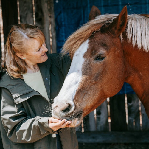 Equine-Therapy-for-Women-01